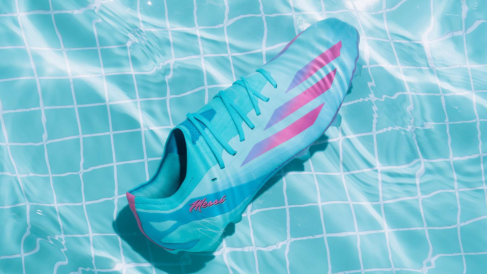 拥有丰富的 拥有丰富的