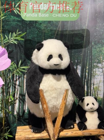 《熊猫说球》第二十一集：假摔